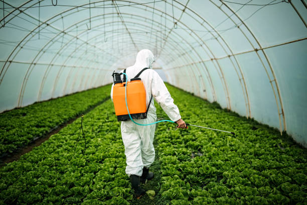 Trusted Grundy Center, IA Pest Control Experts