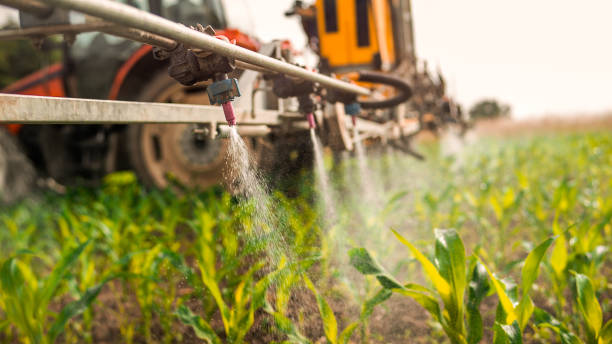Best Mosquito Control Services  in Grundy Center, IA